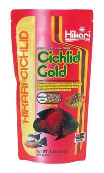 Hikari Cichlid Gold