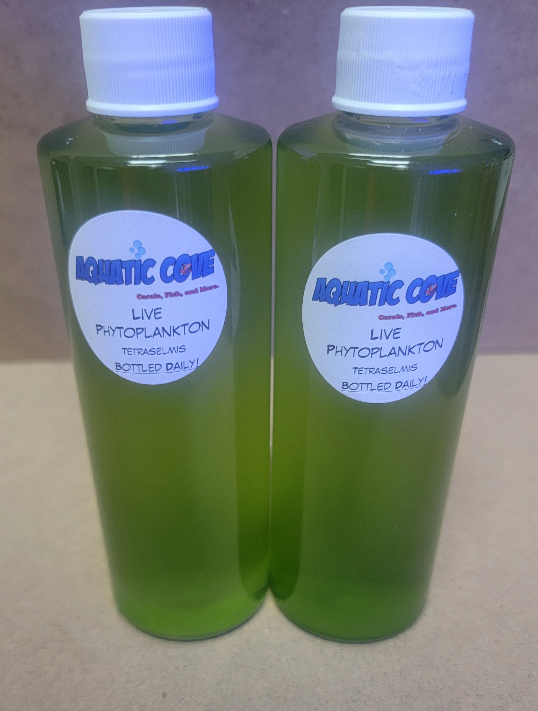 Live Phytoplankton Tetraselmis 8 Oz Bottle