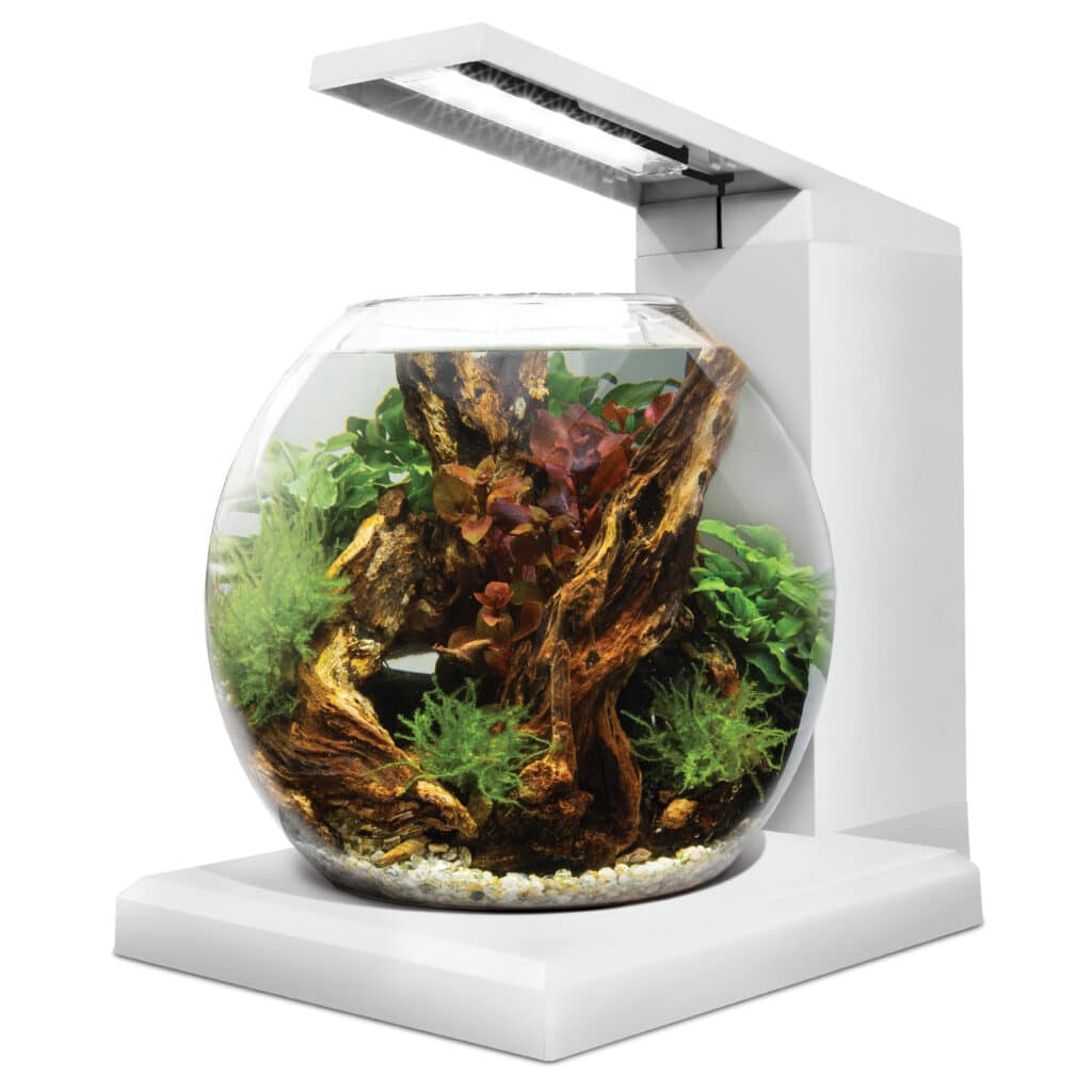 Fluval Liv Microscapeing Kit 1.6Gal