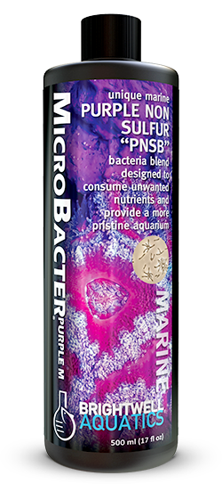 Brightwell MicroBacter Purple M