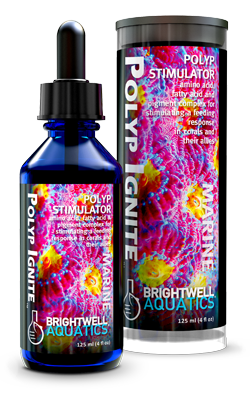 Brightwell Polyp Ignite