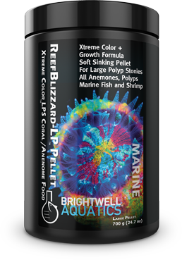 Brightwell Reef Blizzard