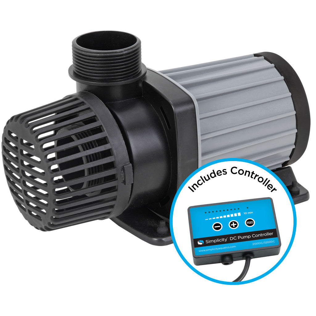 Simplicity 2100 DC Pump