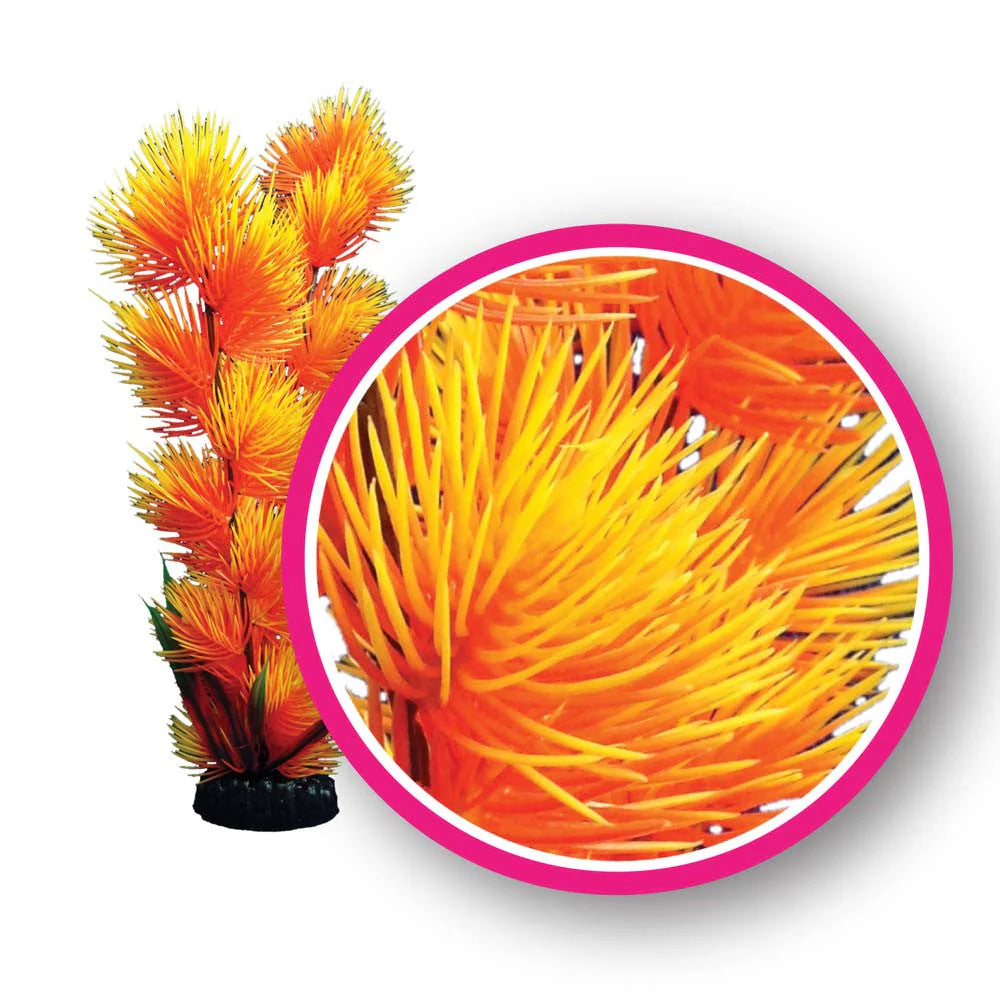 Weco Dream Series Orange Pom Pom Plant