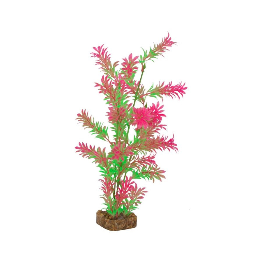 Glofish Plant GN/PK