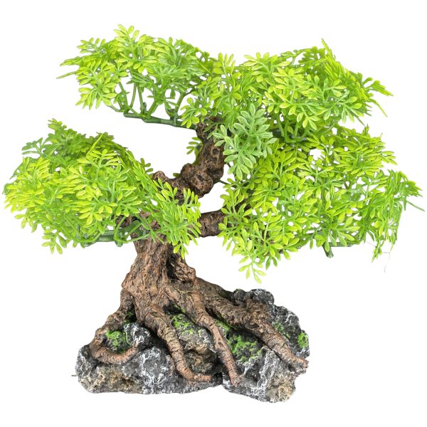 Aquarium Decor