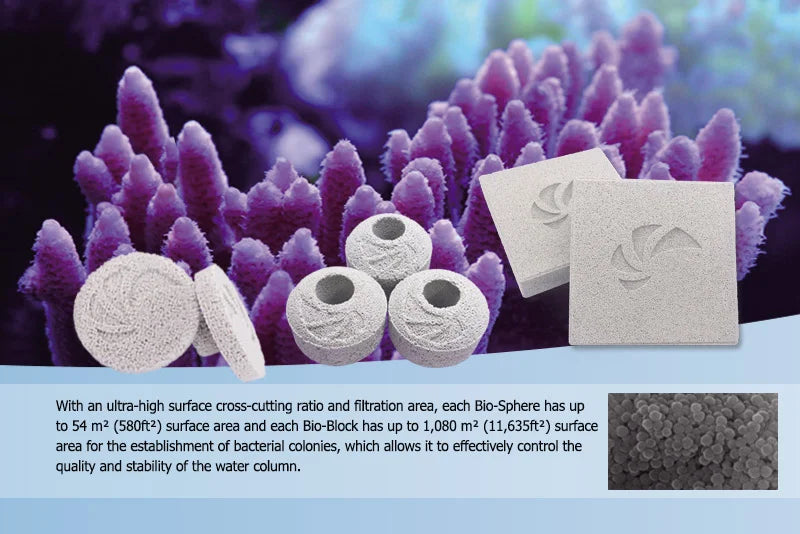 Nano Tech Bio Blocks