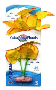 Color Burst Broad Lily Yellow SM