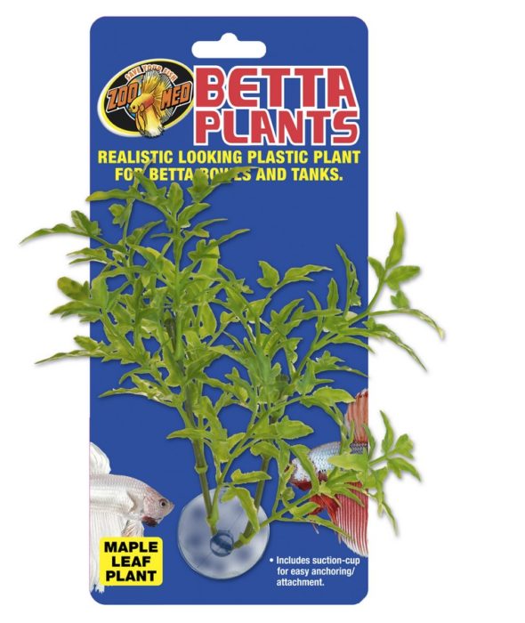 Betta Plants™ – Maple Leaf