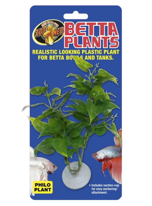 Betta Plants™ – Philo Plant