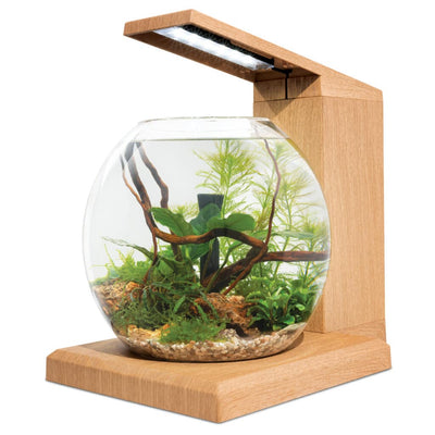 Fluval Liv Microscapeing Kit 1.6Gal