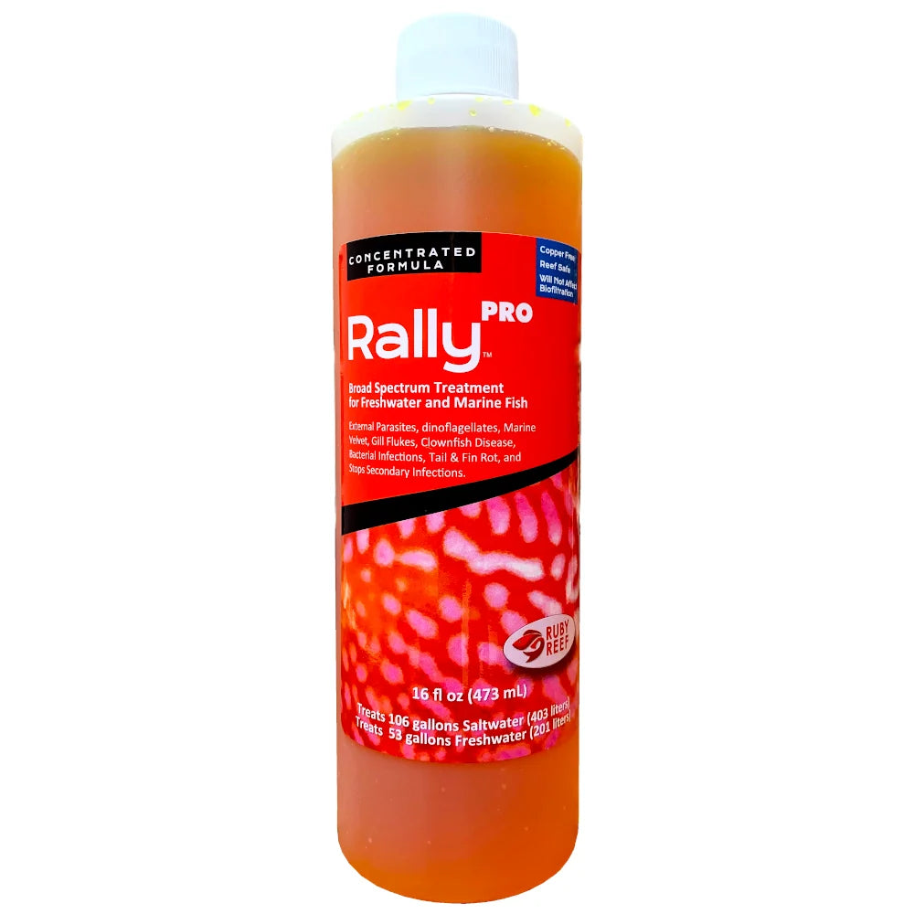 Ruby Reef Rally Pro
