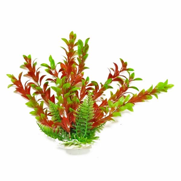 A.T. Aquarium Plant Hygro Red/Grn