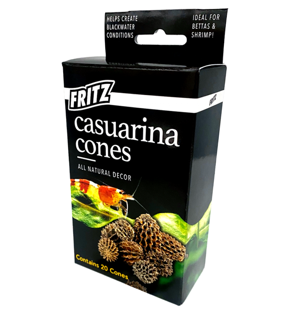 Fritz Casuarina Cones 20 pack