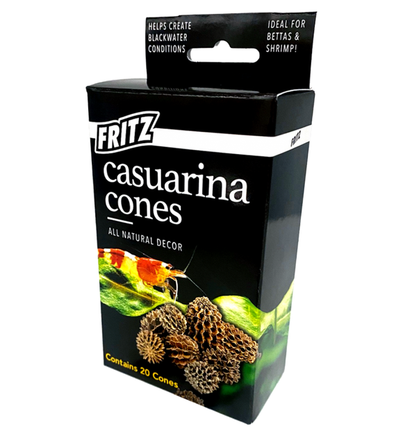 Fritz Casuarina Cones 20 pack