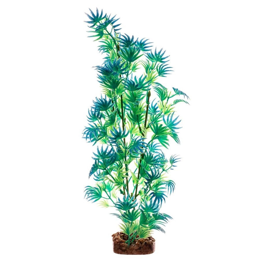 Glofish Plant GN/BL