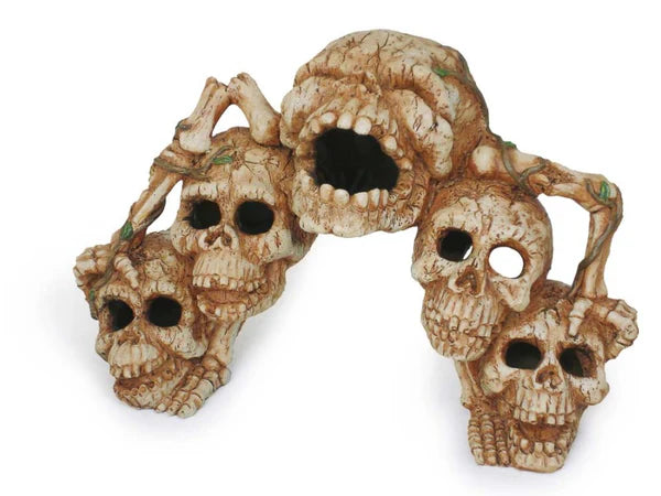 Catacombs Skull Bridge