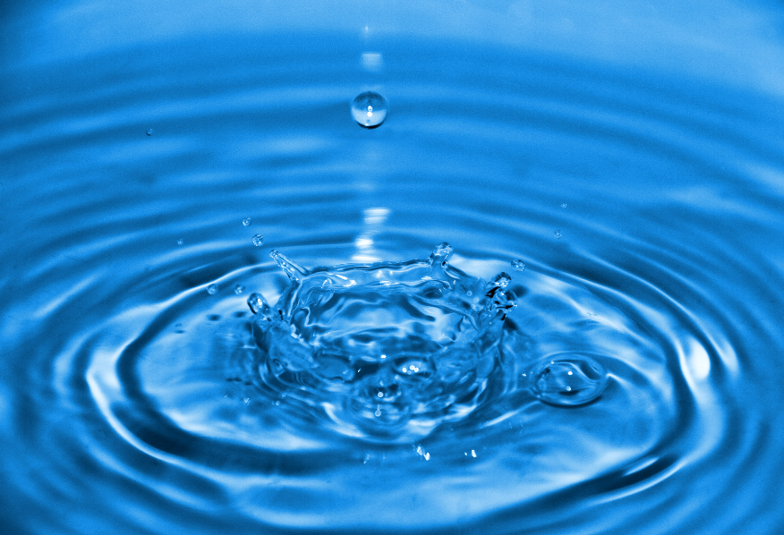 Salt Water / Gallon Aquatic Cove