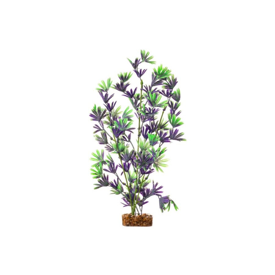 Glofish Plant PR/GN